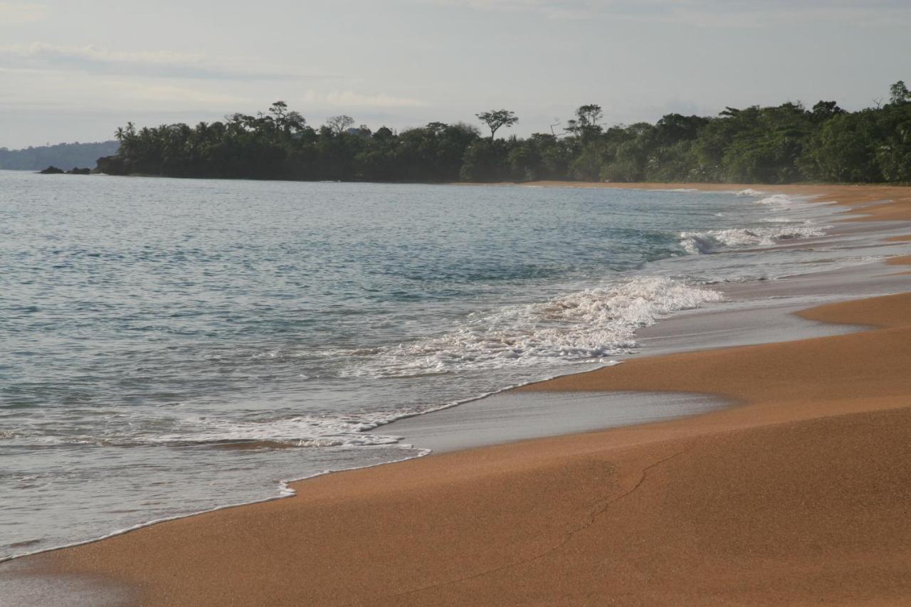 Bluff Beach Retreat Bocas del Toro Zewnętrze zdjęcie