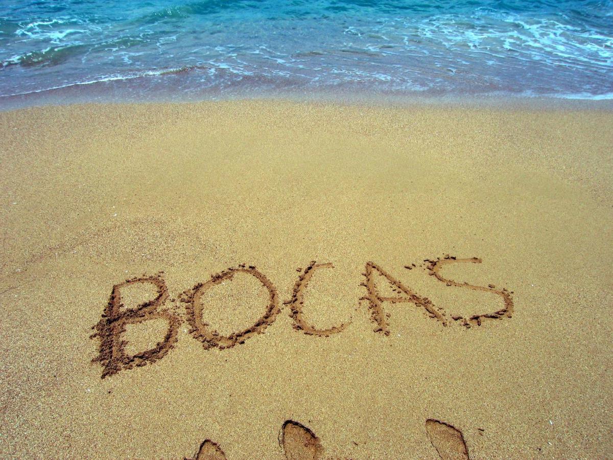 Bluff Beach Retreat Bocas del Toro Zewnętrze zdjęcie