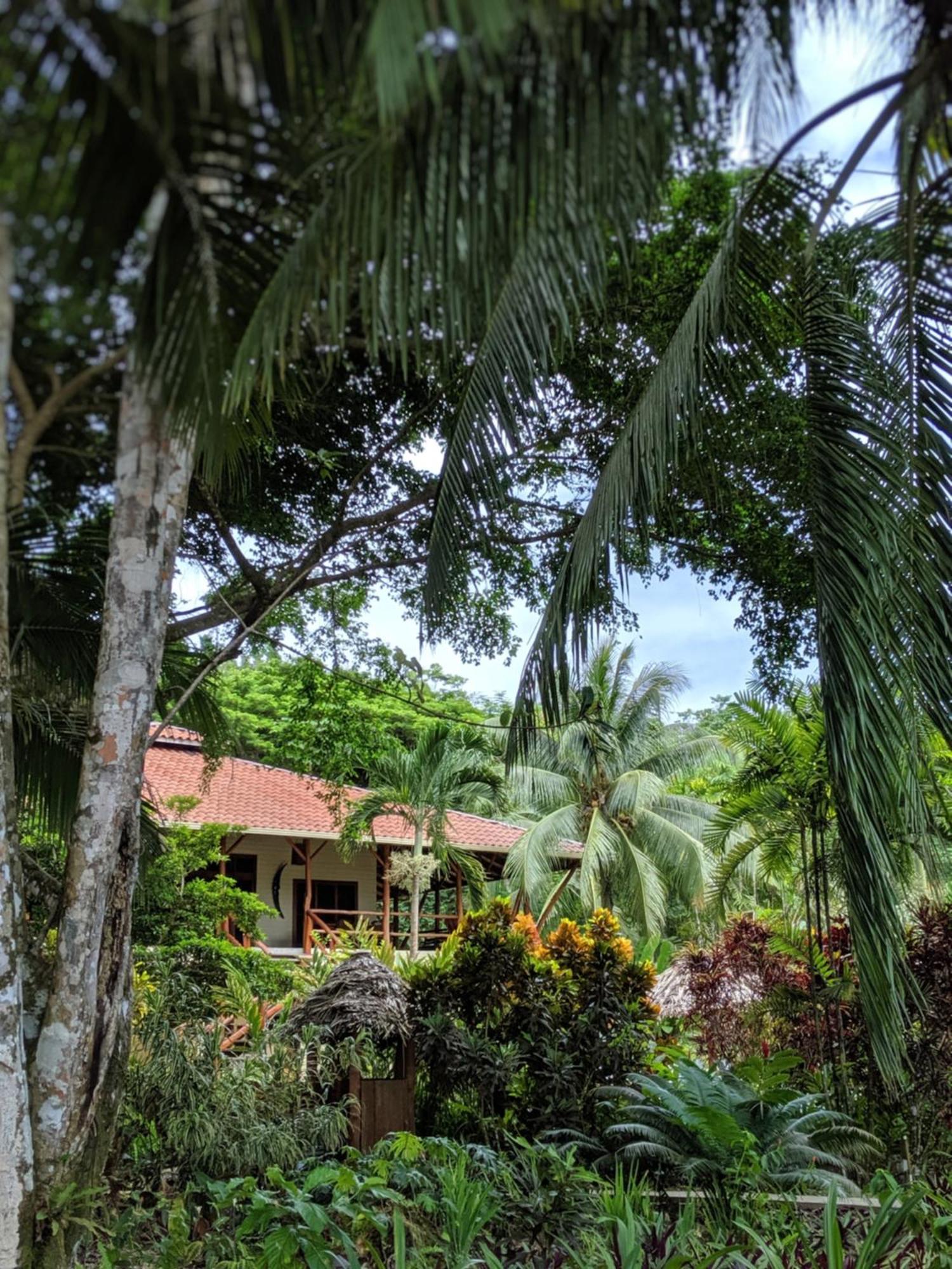 Bluff Beach Retreat Bocas del Toro Zewnętrze zdjęcie