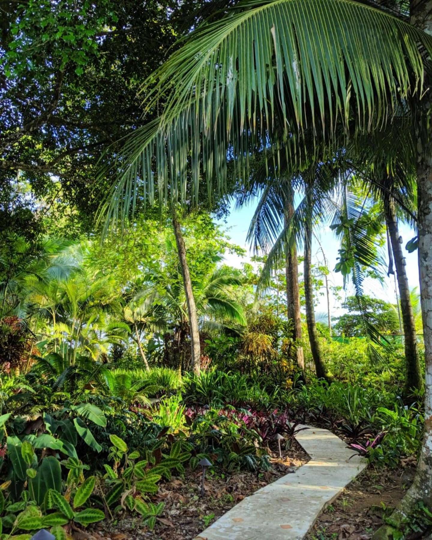 Bluff Beach Retreat Bocas del Toro Zewnętrze zdjęcie