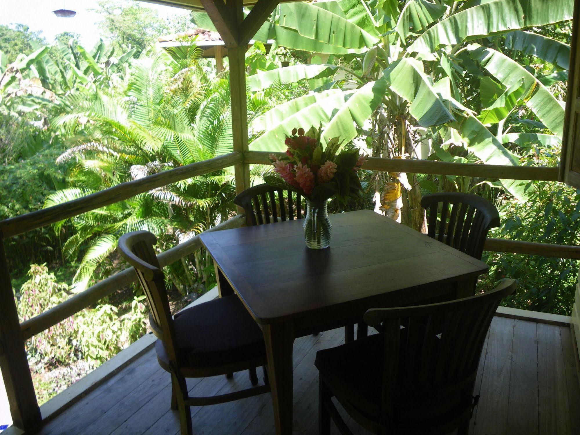 Bluff Beach Retreat Bocas del Toro Zewnętrze zdjęcie