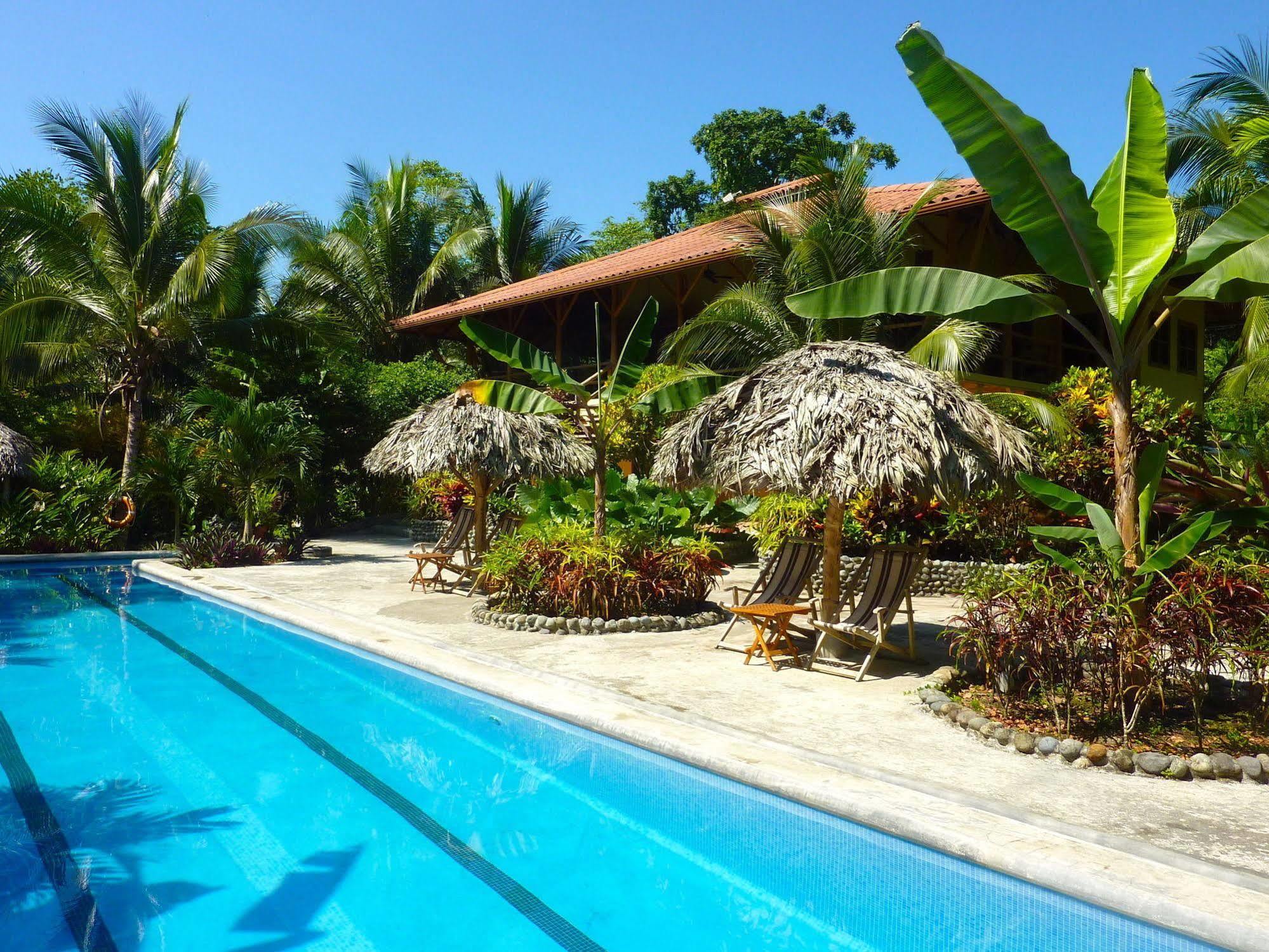 Bluff Beach Retreat Bocas del Toro Zewnętrze zdjęcie