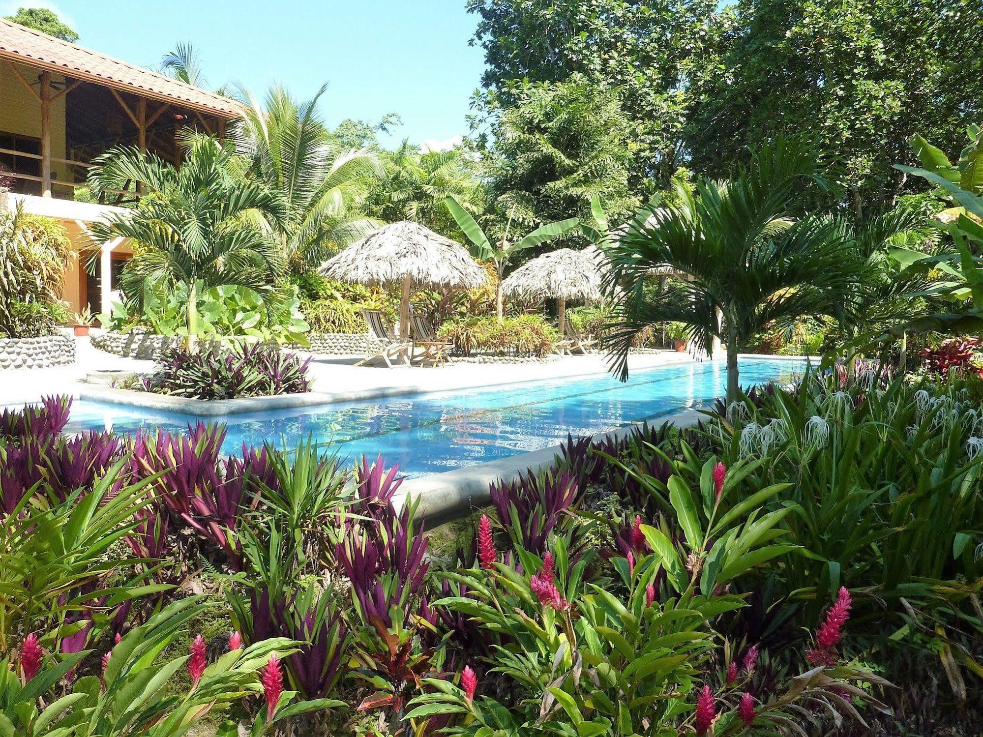 Bluff Beach Retreat Bocas del Toro Zewnętrze zdjęcie