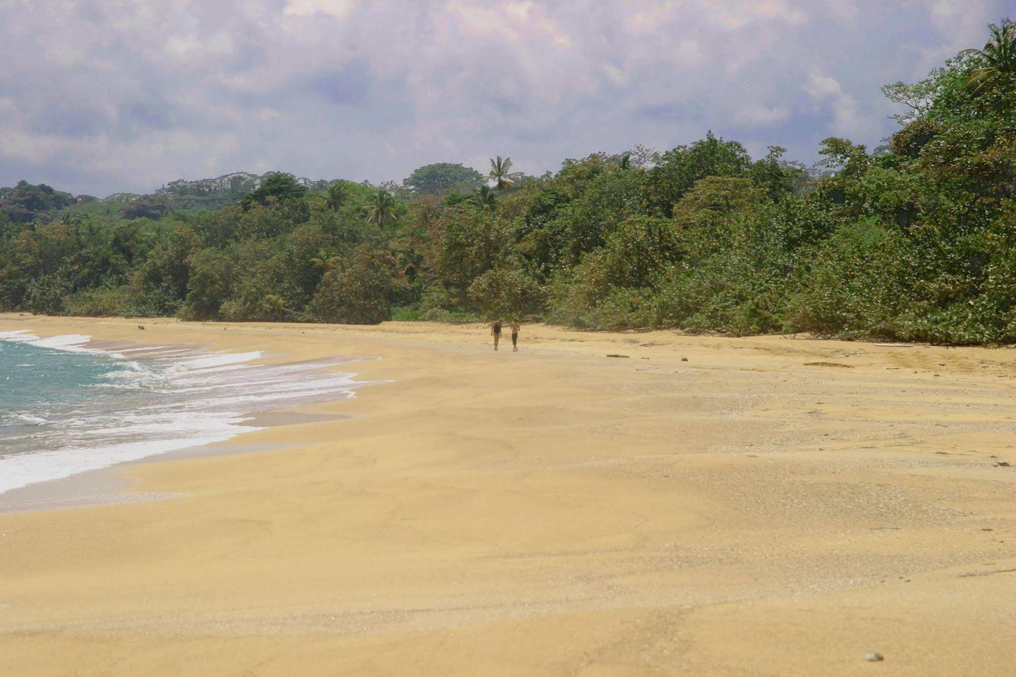 Bluff Beach Retreat Bocas del Toro Zewnętrze zdjęcie