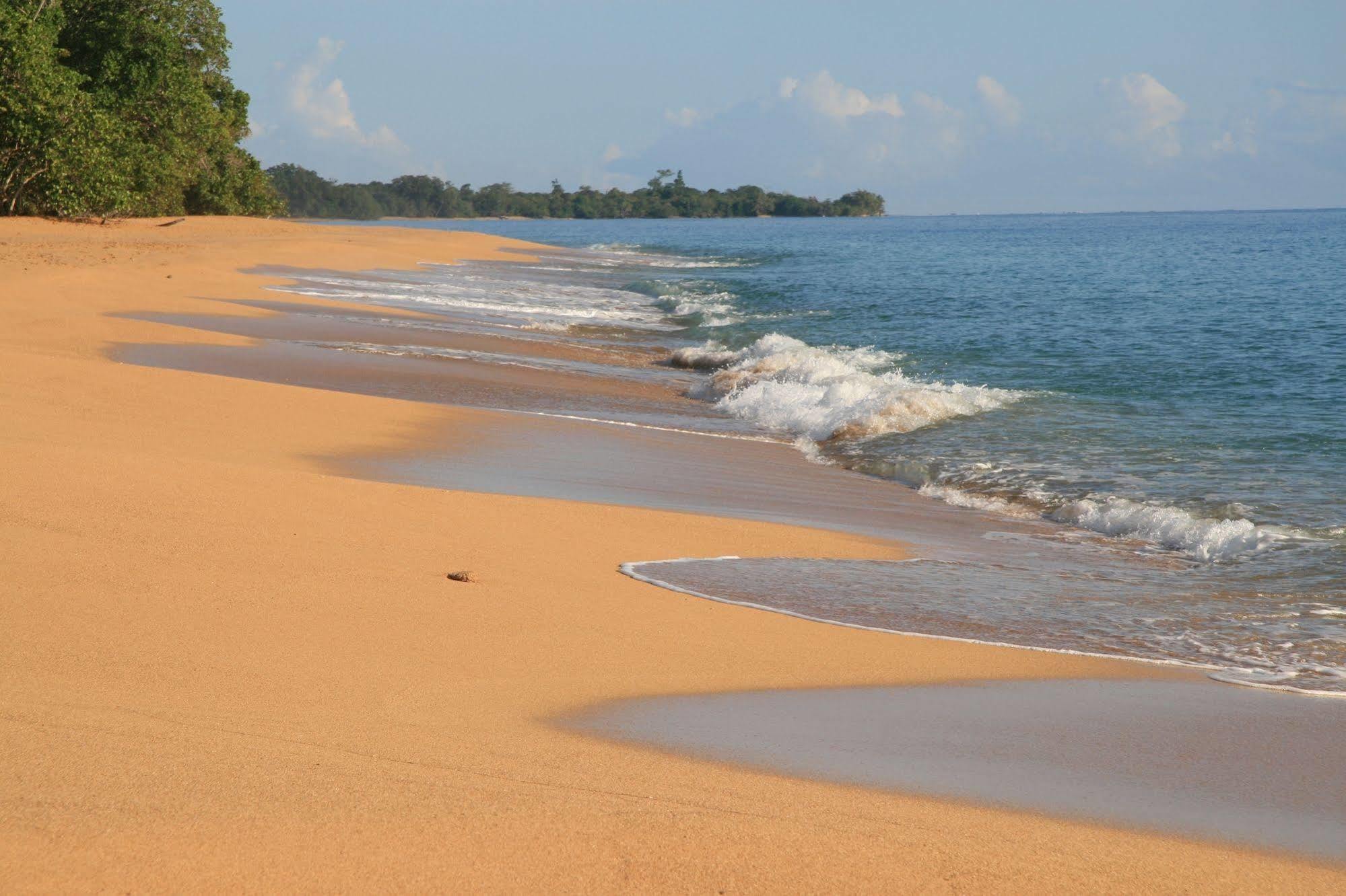 Bluff Beach Retreat Bocas del Toro Zewnętrze zdjęcie