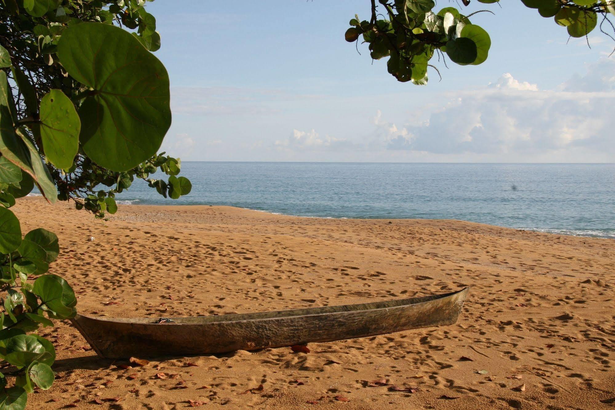Bluff Beach Retreat Bocas del Toro Zewnętrze zdjęcie