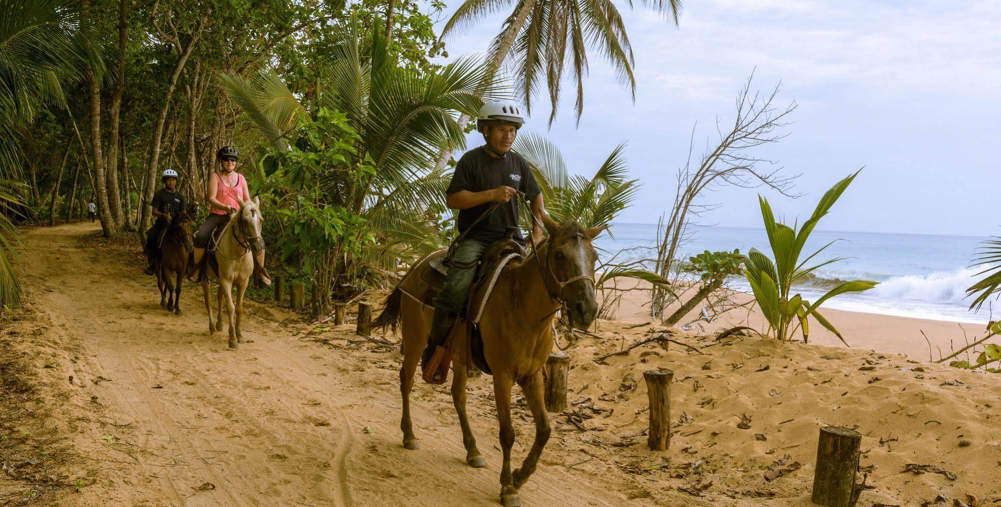 Bluff Beach Retreat Bocas del Toro Zewnętrze zdjęcie