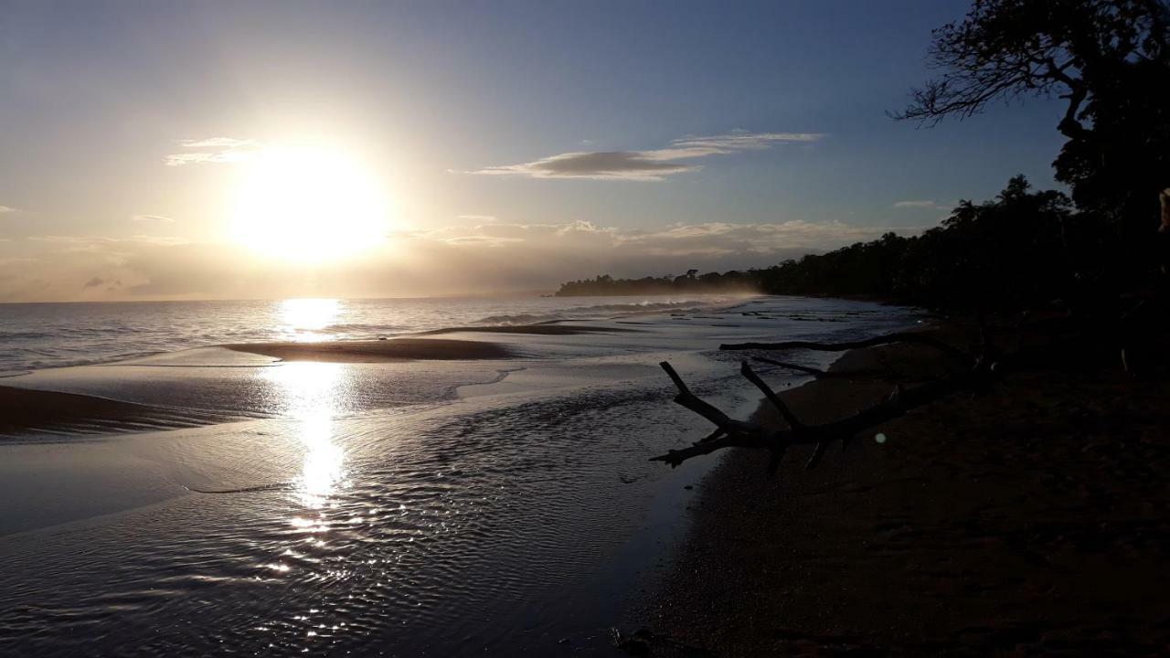 Bluff Beach Retreat Bocas del Toro Zewnętrze zdjęcie